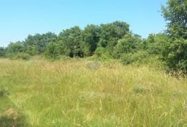 Lovrečica, Umag - građevinska parcela 300 m od plaže, Umag, Tierra