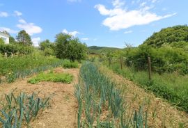 ISTRA, Pazin- kuća na osami, Pazin - Okolica, Famiglia