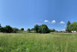 Istra, Tinjan, građevinska parcela sa dovedenim priključkom struje i vode, Tinjan, Terreno