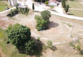 ISTRA, ŽMINJ - Građevinsko zemljište 3640 m2 sa objektom 57 m2, Žminj, Terra