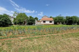 Istra, Žminj, kuća sa garažom i dvorištem 200m2, Žminj, Haus