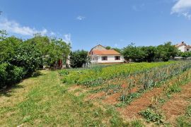 Istra, Žminj, kuća sa garažom i dvorištem 200m2, Žminj, Haus