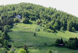 GORSKI KOTAR-IMANJE SA KUĆOM NA PARCELI OD 20 000m2, Lokve, Kuća