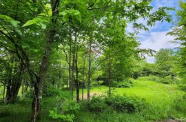 Stari Laz - rijetkost u ponudi - građevinski teren 2331 m2, Ravna Gora, Terreno