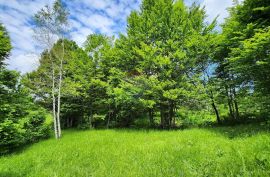 Stari Laz - rijetkost u ponudi - građevinski teren 2331 m2, Ravna Gora, Tierra