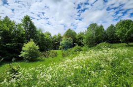 Stari Laz - rijetkost u ponudi - građevinski teren 2331 m2, Ravna Gora, Terra