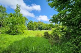 Stari Laz - rijetkost u ponudi - građevinski teren 2331 m2, Ravna Gora, أرض