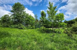 Stari Laz - rijetkost u ponudi - građevinski teren 2331 m2, Ravna Gora, Tierra