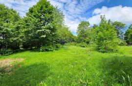 Stari Laz - rijetkost u ponudi - građevinski teren 2331 m2, Ravna Gora, Terrain