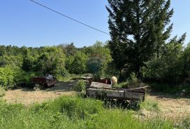 Tinjan - okolica, građevinsko i poljoprivredno zemljište na rubu sela, Tinjan, Arazi