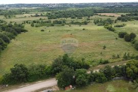 Istra, Tar, poljoprivredno zemljište 10054 m2, Tar-Vabriga, Terrain