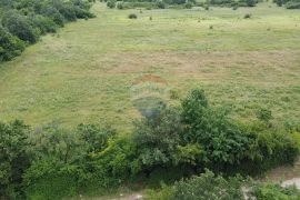 Istra, Tar, poljoprivredno zemljište 10054 m2, Tar-Vabriga, Land