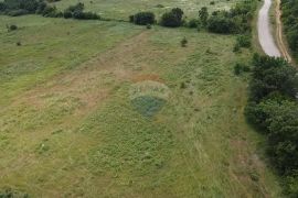 Istra, Tar, poljoprivredno zemljište 10054 m2, Tar-Vabriga, Terrain