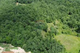 Višnjan, građevinsko zemljište proizvodno-poslovne namjene, Višnjan, Land