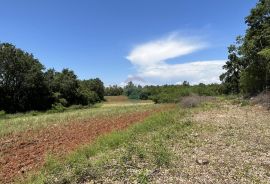 Kaštelir, okolica - poljoprivredno zemljište ukupne kvadrature 22708 m2, Kaštelir-Labinci, Γη