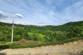 Istra, Buzet, - HITNA PRODAJA - imanje po 1e/m2, Buzet, Terra