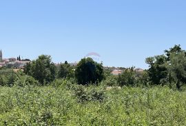 Tar - građevinsko zemljište za izgradnju 2 stambene zgrade, Tar-Vabriga, Land