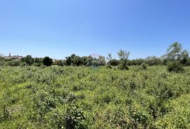 Tar - građevinsko zemljište za izgradnju 2 stambene zgrade, Tar-Vabriga, Land