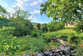 Istra,okolica Buzeta-Građevinsko zemljište u mirnom okruženju, Buzet, Γη