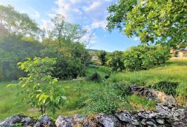 Istra,okolica Buzeta-Građevinsko zemljište u mirnom okruženju, Buzet, Γη