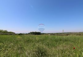 Građevinsko zemljište s pogledom na more, Tar-Vabriga, Terrain