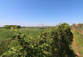 Građevinsko zemljište s pogledom na more, Tar-Vabriga, Zemljište