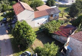 Istra, Brtonigla, okolica, dvije kuće u nizu, Brtonigla, House