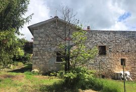 Istra, Brtonigla, okolica, dvije kuće u nizu, Brtonigla, House