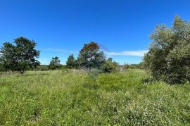 Poreč - okolica, 2 autohtone kamene kuće sa pogledom na more i kombinacijom građevinskog i poljoprivrednog zemljišta, Poreč, Famiglia