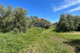 Poreč - okolica, 2 autohtone kamene kuće sa pogledom na more i kombinacijom građevinskog i poljoprivrednog zemljišta, Poreč, Σπίτι