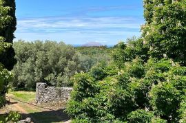 Poreč - okolica, 2 autohtone kamene kuće sa pogledom na more i kombinacijom građevinskog i poljoprivrednog zemljišta, Poreč, بيت