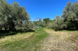 Poreč - okolica, 2 autohtone kamene kuće sa pogledom na more i kombinacijom građevinskog i poljoprivrednog zemljišta, Poreč, Σπίτι