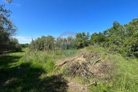 Poreč - okolica, 2 autohtone kamene kuće sa pogledom na more i kombinacijom građevinskog i poljoprivrednog zemljišta, Poreč, Σπίτι