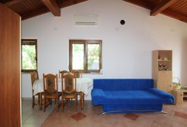 Istra, Novigrad - Dvosoban stan u mirnom dijelu grada Novigrada, Novigrad, Apartamento