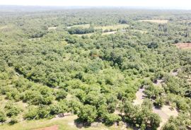 ISTRA, MARČANA - Parcela na osami na lijepoj i mirnoj lokaciji, Marčana, Land