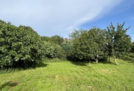 Umag - okolica, građevinsko zemljište na 5 km od mora, Umag, Terreno