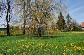 Ravna Gora - centar , građevinski teren 1794 m2, Ravna Gora, Land