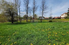 Ravna Gora - centar , građevinski teren 1794 m2, Ravna Gora, Terra