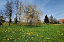 Ravna Gora - centar , građevinski teren 1794 m2, Ravna Gora, Land