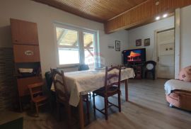 Lukovdol, kuća sa okućnicom 2000 m2, Vrbovsko, Maison