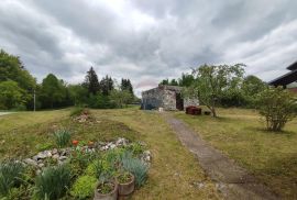 Lukovdol, kuća sa okućnicom 2000 m2, Vrbovsko, Casa