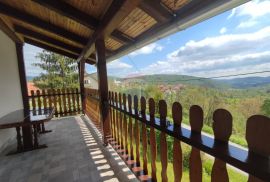 Lukovdol, kuća sa okućnicom 2000 m2, Vrbovsko, Haus