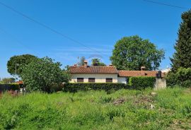 Poreč, građeviinsko zemljište odlične lokacije, Poreč, Land