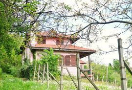 Donja Zelina, kuća 220 m2,, Sveti Ivan Zelina, Casa