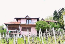 Donja Zelina, kuća 220 m2,, Sveti Ivan Zelina, Famiglia