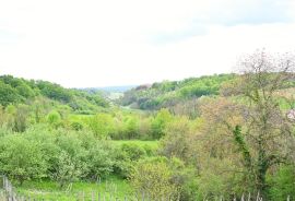 Donja Zelina, kuća 220 m2,, Sveti Ivan Zelina, House