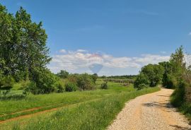 Poreč okolica: Građevinsko zemljište 7 km od Poreča, Poreč, Tierra