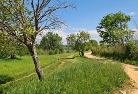 Poreč okolica: Građevinsko zemljište 7 km od Poreča, Poreč, Tierra