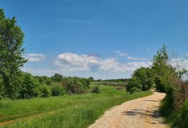 Poreč okolica: Građevinsko zemljište 7 km od Poreča, Poreč, Tierra