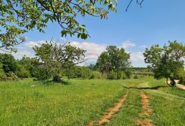 Poreč okolica: Građevinsko zemljište 7 km od Poreča, Poreč, Tierra